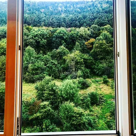 Tampa Mountain Apartament Брашов