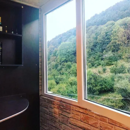 Tampa Mountain Apartament * Брашов