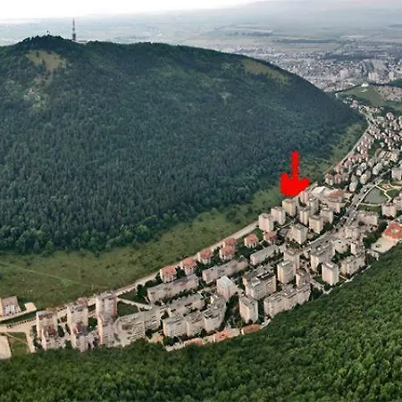 Tampa Mountain Apartament * Брашов